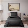 Dreamzie - Copripiumino Singolo 140x200cm con Federa 65x65cm | Nero · Sacco Piumino Singolo 140x200 · Microfibra 100% · 2 Pezzi · Chiusura con Cerniera · OEKO-TEX · Morbido · No Stiro