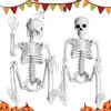 JCOTCL Scheletro per Halloween, 2 Pezzi Scheletro Decorazioni per Halloween, in plastica, 40 cm, Scheletri di Plastica con Giunti Mobili, per Decorazioni spaventose per Feste di Halloween