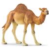 Schleich Dromedario