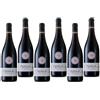 Masciarelli Montepulciano D'Abruzzo Doc 2020 Gianni Masciarelli 75 cl