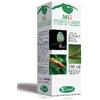 SANGALLI Srl CASTAGNO 100ML MG