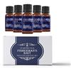 Mystic Moments Kit Iniziale di Oli Essenziali - Esca Fisherman's - 5 x 10ml - 100% Puro