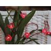 Star, Catena luminosa a LED