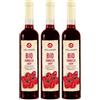 HÖLLINGER - JUST LOVING NATURE Sciroppo di lamponi bio Höllinger - Organic Raspberry Syrup, Vegan, 3x500ml Glass Bottle, Rich Berry Flavor