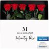 Mia Milano 5 rose Infinity rosse su stelo (durata di conservazione 5 anni) in confezione regalo | Regalo decorativo di San Valentino | Cinque fiori conservati con fragranza di rosa I Incl. biglietto regalo