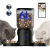 BrooBirder PF5-6L Distributore Automatico Cibo Gatti con 2 Ciotole, WIFI doppia fotocamera 2K, allarme personalizzabile, ciotola inox, programmabile dosabile, batteria riserva