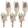 Luxvara 6 Mazzi Fiori Secchi Naturali, Piccoli Fiori Essiccati Decorativi, Mini Bouquet di Fiori Secchi Naturali per Cornici Fai Da Te, Decorazioni per Matrimoni e Feste in Casa (Stile A)