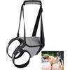 GYWHOOFT XL Imbracatura per cani di taglia grande, 26 a 40 kg imbracatura per sollevamento per zampe posteriori di supporto per aiutare a riabilitare gli arti posteriori di cani anziani