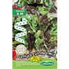 Germisem Lettuce Cutting Mix Semi di Ravanello su Nastro da 6 m