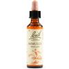 Schwabe Pharma Schwabe Mimulus Fiore di Bach Originale - Essenza floreale per gli stati di paura, 20 ml