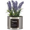Ibergarden Pianta, Multicolore, Standard