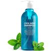 CP-1 Cool Mint Shampoo Head Spa Dry Hair 500 ml Treatment Rilievo Mentolo Gelido Menta Piperita Controllo dell'Olio Pulizia Pori Effetto Lenitivo Senza Solfati Senza Parabeni