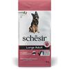SCHESIR SpA Schesir Large Adult Prosciutto, Crocchette per Cani Taglia Grande, 12 kg