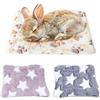CHAOTEMAI 3 Pezzi Letto in Peluche per Piccoli Animali Caldo Letto per Porcellini D'india Calda Coperta per Porcellino D'india Casetta per Conigli 15x20 CM 26x33 CM per Cincillà Criceto Coniglio (A)