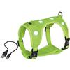 Nobby - Imbracatura di sicurezza a LED, colore: Giallo neon
