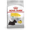 ROYAL CANIN ITALIA SpA Royal Canin Dermacomfort Mini, 3kg - Alimento per Cani con Sensibilità Cutanea