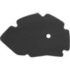 cyclingcolors 1x Filtro Aria in Schiuma Compatibile con GILERA DNA-RUNNER PIAGGIO X9 125-180CCfiltro motore scooter moto air box carburatore filtrazione