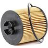 MAHLE Knecht OX 341D Filtro Motore