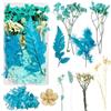 Slvoaujtk Fiori Secchi Decorativi per Candele, Bomboniere e Resina, Fiori Secchi Naturali per la Decorazione Artigianale Fai da Te (Blu)