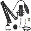 Microfono a Condensatore, Microfono Professionale Cardioid XLR Con Braccio, Supp