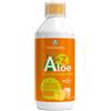 Vonderweid Aloe + zenzero 500 ml vonderweid