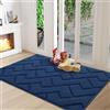 Biscpro Zerbini per Ingresso Interno,80x120cm Tappetino Antiscivolo Lavabile in Lavatrice,Zerbino d'Ingresso Polipropilene Assorbenti per Interno,Ingresso,Esterno,Corridoio,Balcone-Blu