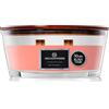 DECO EXPRESS Candele Profumate Stoppino Scoppiettante Candela Lunga Durata Fino a 50 Ore, Regalo per San Valentino o Festa della Mamma (Marshmallow tostati)