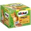 KiteKat Confezione 24 bustine alimento umido per gatto kitekat il curioso esploratore 24x85 gr