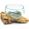 Gedeko Radice con ciotola di vetro, piccola ciotola decorativa in vetro su legno, diametro 12-13 cm, decorazione in legno di teak (marrone chiaro)