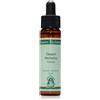 NATUR Essenza Singola Del Deserto Dell'Arizona - Bear Grass 10ml