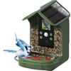 Braun Bird Cam 130 Solar