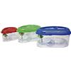 ICA tt351 tartarughiera Senza Coperchio dophin