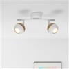 Lightbox Faretto da soffitto a LED con luce bianca calda - Tubo spot a 2 fiamme con teste orientabili - Plafoniera con lampadina inclusa e sostituibile - Metallo bianco/legno