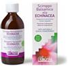 Argital Sciroppo Balsamico Echinacea Integratore Vie Respiratorie 200ml