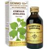 giorgini Nocciolo 100ml analco gem 10+