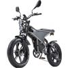 RANDRIDE DM711 Bicicletta elettrica, motore da 1000 W*2, batteria da 48 V 20 Ah, pneumatici larghi da 20*4,0 pollici