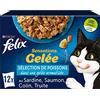FELIX Sensazioni gelatina | Gatto adulto | Gelatina aromatizzata | Selezione di pesci, confezione da 12 x 85 g, 1,02 kg, confezione da 1
