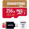 Gigastone [5 Anni Recupero Dati 0] GIGASTONE 256GB Scheda MicroSD con Lettore di Scheda USB3.2 Tipo C, Camera Pro MAX, Scheda di Memoria A2 V30 MicroSDXC, 4K UHD Video, Fino a 130/85 MB/s con Adattatore