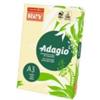 INTERNATIONAL PAPER Carta colorata A3 Sylvamo Rey Adagio 160 g/m² giallo canarino 03 - Risma da 250 fogli - ADAGI160X484