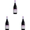 Cesari Valpolicella Ripasso DOC Superiore 2021 - Vino Corposo, Profumato e Vellutato - 13,50% vol. - Bottiglia da 750 ml (Confezione da 3)