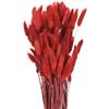 QUARKZMAN 120pz Coda di Coniglio Naturale Fiori Secchi 43cm Mini Erba di Pampa per Decorazioni Floreali Matrimonio Natale, Rosso