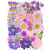 YoothBro Fiori secchi pressati per stampi in resina, veri fiori pressati naturali per artigianato fai da te, realizzazione di candele, decorazioni per unghie, produzione di sapone, custodie per