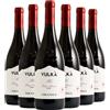Cantine Nicosia Etna Rosso DOC Vulkà 2022 Box da 6 bottiglie