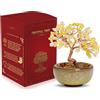 WEILAOK Albero della Vita di Quarzo Rosa, Pietre Chakra Oggetti, Soprammobile Portafortuna, Feng Shui Pietre e Cristalli, Meditazione Reiki Oggetti per Decorazione della Casa Regali di Compleanno