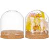 BENECREAT 2 Set Cupola Espositiva in Vetro con Base in Sughero, Centrotavola da Tavolo con Campana A Cloche da 80x72 mm per Piante da Fiore, Decorazioni Artigianali, Diametro Interno: 76mm