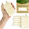 AIRNEX Spugne naturali di luffa per piatti, confezione da 6, compostabili e in cellulosa da cucina, senza plastica, con anello in cotone per appendere