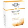 Maison Berger Paris Diffuseur Voiture Recharge Aroma Energy Zestes Toniques - Profumo per Automobile