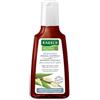 Rausch Shampoo Alla Corteccia Di Salice antiforfora 200 Ml