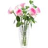 ASSRECT Vaso Vetro Trasparente 22cm Vaso di Vetro Vaso Fiori Vetro Alto Centrotavola Moderno Vaso Fiori in Stile Minimalista per la Casa, Soggiorno, Tavolo, Ufficio