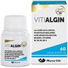 MARCO VITI FARMACEUTICI SpA Vitialgin - 60 perle softgel
